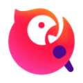 能用的vp n
